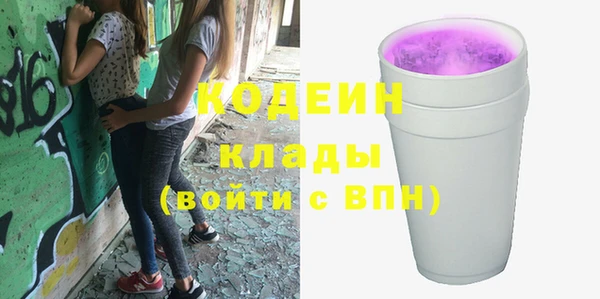 молекула духа Михайловск