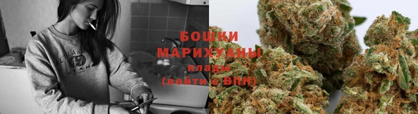 СК Навашино