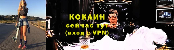 молекула духа Михайловск