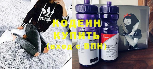 молекула духа Михайловск