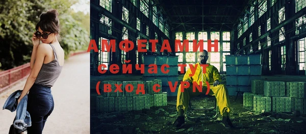 молекула духа Михайловск
