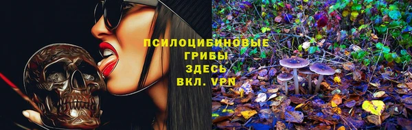 стафф Михайловка