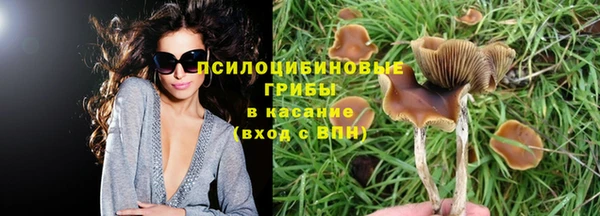 кокс Михайлов