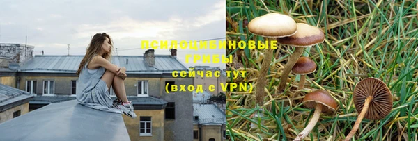 СК Навашино
