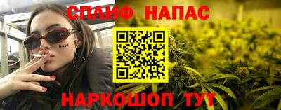 индика Дубна