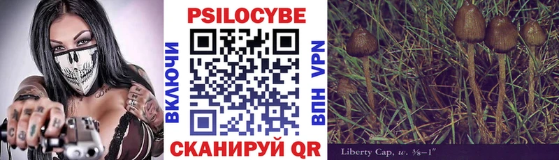 как найти закладки  Балтийск  Псилоцибиновые грибы прущие грибы 