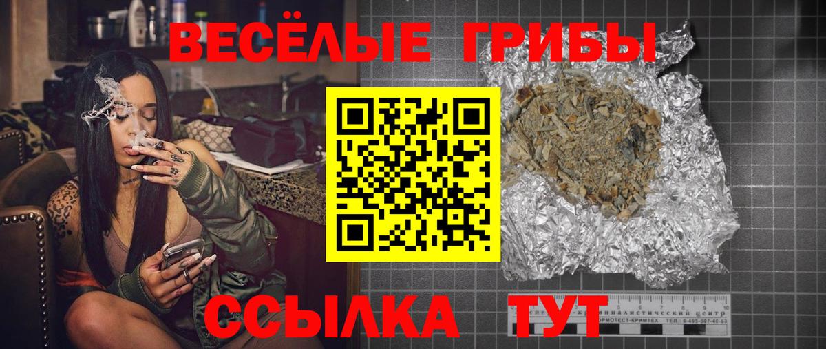 Псилоцибиновые грибы Cubensis  Псилоцибиновые грибы мицелий  Вход с VPN  Балтийск 